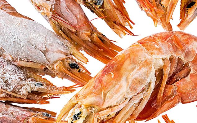 Τι πρέπει να προσέχουμε, πώς να διαβάζουμε τις ετικέτες.
Η ετικέτα πρέπει να γράφει:

• Εμπορική ονομασία: δηλαδή συνοπτική περιγραφή της μορφής του προϊόντος και του είδους, π.χ. «γαρίδα ολόκληρη». Οι πιο δημοφιλείς μορφές είναι η ολόκληρη, χωρίς κεφάλι, χωρίς κέλυφος και χωρίς κέλυφος με ουρά.

• Μέγεθος: Συνήθως αποτελεί μέρος της εμπορικής ονομασίας, αλλά υπάρχουν περιπτώσεις που αναφέρονται σε ξεχωριστό σημείο. Το μέγεθος της ολόκληρης γαρίδας προσδιορίζεται είτε με νούμερο (το 0 είναι οι μεγαλύτερες και συνήθως φτάνουν έως το 6) είτε με τον αριθμό των γαρίδων σε ένα κιλό κατεψυγμένου προϊόντος (η ένδειξη 6/8 φανερώνει μεγάλη γαρίδα και φτάνει συνήθως μέχρι το 100/120). Αν επιλέξετε αποφλοιωμένες ή χωρίς κεφάλι, το μέγεθός τους προσδιορίζεται από τον αριθμό των γαρίδων ανά libra (454 gr), με τη μεγαλύτερη να είναι στο 10/20 (τμχ./libra) και τη μικρότερη να φτάνει συνήθως στο 100/200. Γενικά, επιλέγουμε μεγάλες αν θα τις καταναλώσουμε σκέτες, σαγανάκι ή μακαρονάδα, ενώ οι μικρότερες χρησιμοποιούνται για ριζότι, σάλτσες κ.ά.

•Ζώνη αλιείας: Η περιοχή στην οποία έχει αλιευθεί, βάσει των ζωνών που έχουν οριστεί παγκοσμίως από τον οργανισμό Τροφίμων και Γεωργίας (FAO). Σε ιχθυοπωλεία και σούπερ μάρκετ που πωλούν ψαρικά θα δείτε τον χάρτη με τις ζώνες. Ενδεικτικά: H Μεσόγειος είναι η ευρύτερη ζώνη 37, το Αιγαίο 37.3.1. Αν οι γαρίδες προέρχονται από υδατοκαλλιέργεια, πρέπει να αναφέρεται και χώρα προέλευσης.

• Καθαρό βάρος: Το βάρος που αναγράφεται ως καθαρό στη συσκευασία είναι το βάρος του κατεψυγμένου προϊόντος χωρίς επίπαγο. Επίπαγος είναι το λεπτό στρώμα πάγου στην επιφάνεια της γαρίδας, καραβίδας κ.λπ. που περιορίζει την επαφή με το οξυγόνο. Κι αν έχετε απορία, η επιπάγωση γίνεται με εμβάπτιση κατεψυγμένου προϊόντος σε παγωμένο νερό ή με ψεκασμό με νερό – πόσιμο φυσικά. Συχνά, εκτός από το καθαρό βάρος, αναφέρεται και το βάρος με επίπαγο.

Τι πρόσθετα μπορεί να υπάρχουν;

Συντηρητικά δεν χρειάζονται – η χαμηλή θερμοκρασία της κατάψυξης δεν επιτρέπει την ανάπτυξη μικροβίων. Το μόνο πρόσθετο που επιτρέπει ο κώδικας τροφίμων να χρησιμοποιείται είναι αντιοξειδωτικά (συνήθως θειώδες νάτριο ή διοξείδιο του θείου). Μόνη χρησιμότητα είναι το ότι αποτρέπουν το μαύρισμα του κεφαλοθώρακα, όπως με πληροφόρησε ο κ. Βλαδίμηρος Λουγκοβόης, ο οποίος διδάσκει Τεχνολογία και Ποιότητα Ιχθυηρών στη Σχολή Τεχνολογίας Τροφίμων και Διατροφής των ΤΕΙ Αθήνας. Όταν χρησιμοποιείται,όμως, πρέπει να αναφέρεται απαραιτήτως στην ετικέτα – κάποιοι άνθρωποι είναι υπερευαίσθητοι στα θειώδη, εμφανίζουν αλλεργίες.

Μερικές ακόμη διευκρινίσεις:

• Οι γαρίδες διατηρούν καλύτερα τη φρεσκάδα τους όταν καταψύχονται στο πλοίο αλίευσης.

• Οι προβρασμένες είναι διαδεδομένες κυρίως για λόγους ευκολίας. Πρέπει να γνωρίζουμε, όμως, πως όσες περισσότερες παρεμβάσεις κάνουμε τόσο χάνεται η ποιότητα και νοστιμιά.

• Δεν χρειάζεται να τις αποψύξουμε πριν τις μαγειρέψουμε. Με την απόψυξη χάνεται νερό και μαζί με αυτό υδατοδιαλυτά συστατικά τα οποία συνδιαμορφώνουν τη γεύση και το άρωμα.

• Σύμφωνα με τον Πανελλήνιο Σύνδεσμο Επιχειρήσεων Κατεψυγμένων Τροφίμων, πρέπει να αποφεύγουμε γαρίδες: που έχουν κολλήσει μεταξύ τους ή έχουν τοπικά στεγνή σάρκα με λευκό χαρακτηριστικό χρώμα (είναι σημάδι ότι έχουν αποψυχθεί και επανακαταψυχθεί), που έχουν σκούρα μελανά σημεία στο κάτω μέρος του κεφαλιού και στα πόδια. Τέλος, είναι σημαντικό η γαρίδα να μην είναι σπασμένη – η ακεραιότητα του σώματος δείχνει ότι έτυχε προσεκτικής μεταχείρισης.